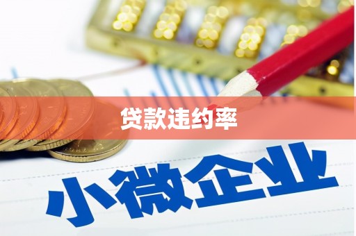 宾县贷款违约率