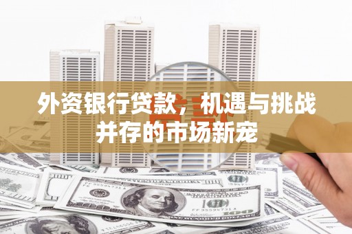 宾县外资银行贷款，机遇与挑战并存的市场新宠