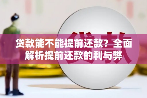 宾县贷款能不能提前还款？全面解析提前还款的利与弊
