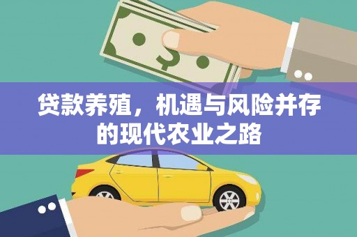 宾县贷款养殖，机遇与风险并存的现代农业之路