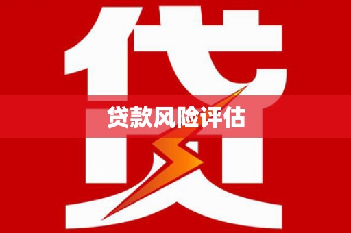 宾县贷款风险评估