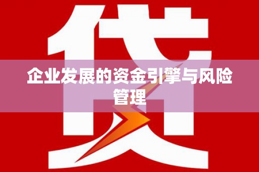 宾县企业发展的资金引擎与风险管理