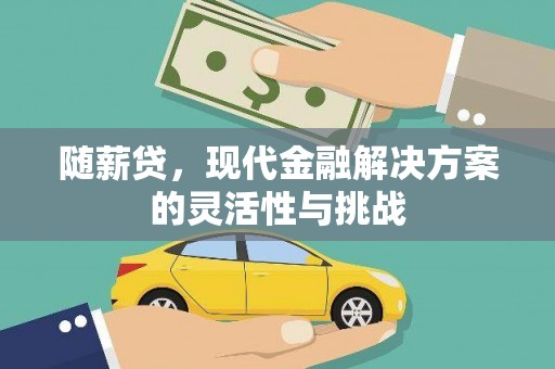 宾县随薪贷，现代金融解决方案的灵活性与挑战