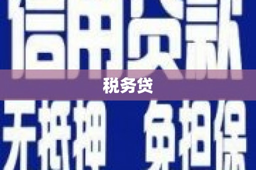 宾县税务贷