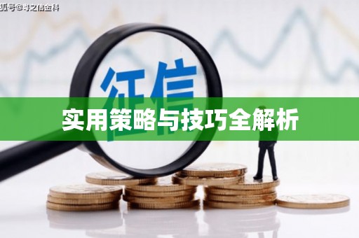 宾县实用策略与技巧全解析