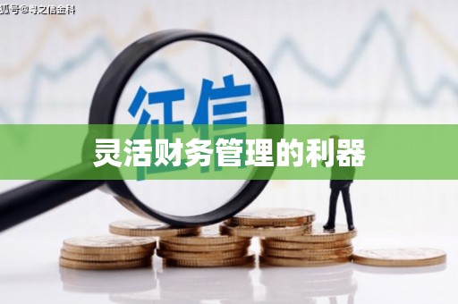 宾县灵活财务管理的利器