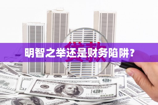 宾县明智之举还是财务陷阱？