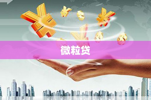 宾县微粒贷
