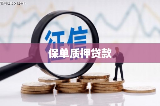 宾县保单质押贷款