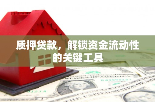 宾县质押贷款，解锁资金流动性的关键工具