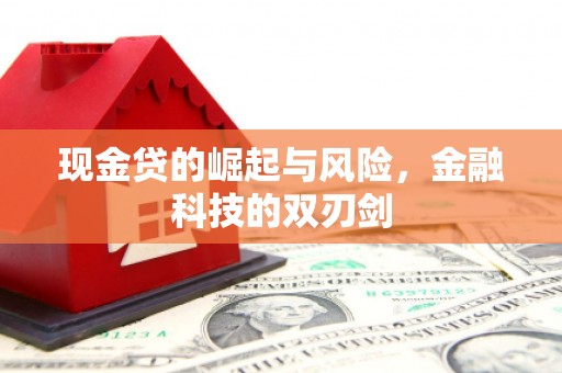 宾县现金贷的崛起与风险，金融科技的双刃剑