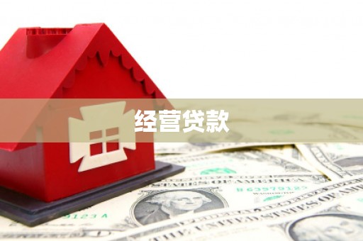 宾县经营贷款