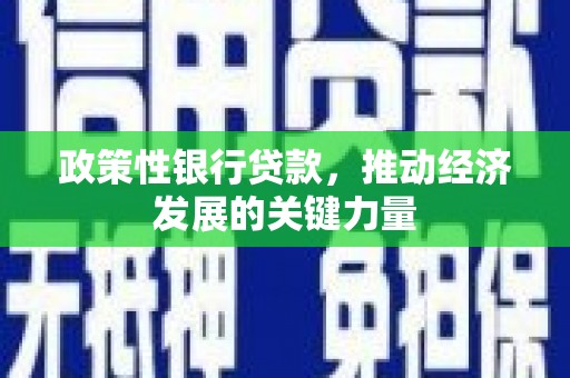 宾县政策性银行贷款，推动经济发展的关键力量