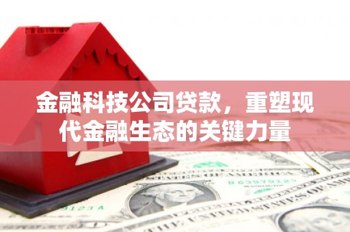 宾县金融科技公司贷款，重塑现代金融生态的关键力量