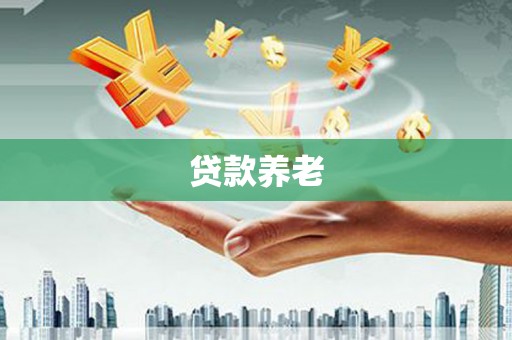 宾县贷款养老