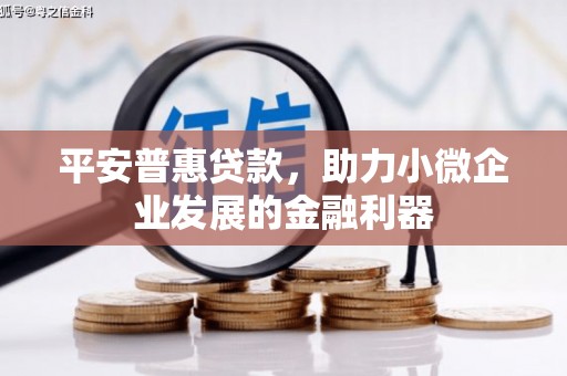 宾县平安普惠贷款，助力小微企业发展的金融利器
