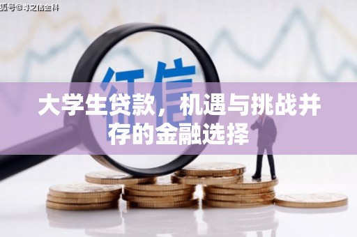 宾县大学生贷款，机遇与挑战并存的金融选择