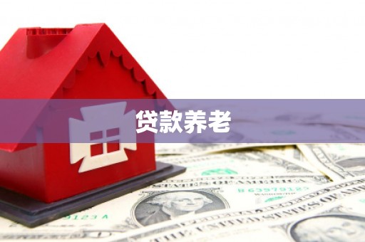 宾县贷款养老