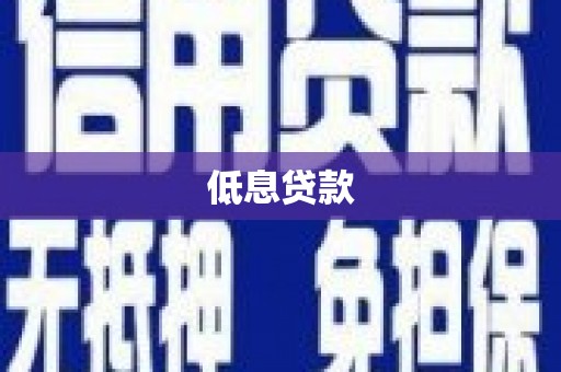 宾县低息贷款