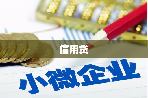 宾县信用贷