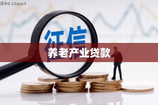 宾县养老产业贷款