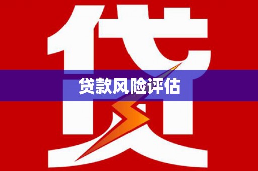 宾县贷款风险评估