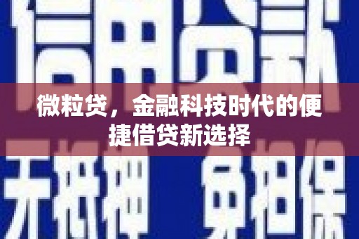 宾县微粒贷，金融科技时代的便捷借贷新选择