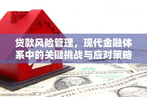 宾县贷款风险管理，现代金融体系中的关键挑战与应对策略