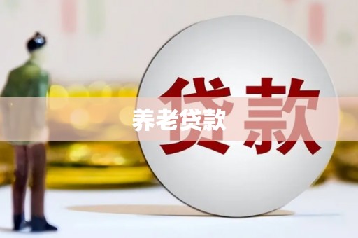 宾县养老贷款