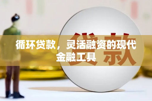 宾县循环贷款，灵活融资的现代金融工具