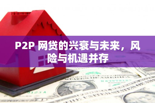 宾县P2P 网贷的兴衰与未来，风险与机遇并存