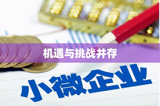 宾县机遇与挑战并存