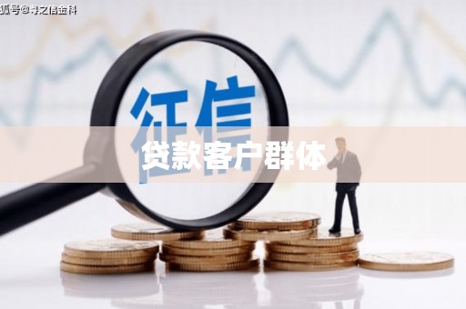 宾县贷款客户群体