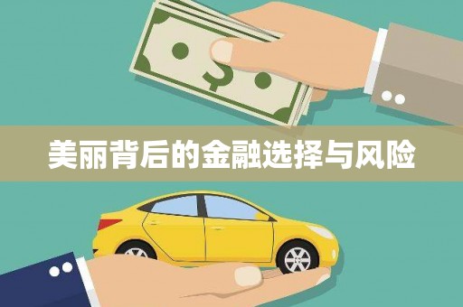 宾县美丽背后的金融选择与风险