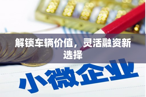 宾县解锁车辆价值，灵活融资新选择