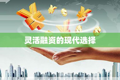 宾县灵活融资的现代选择