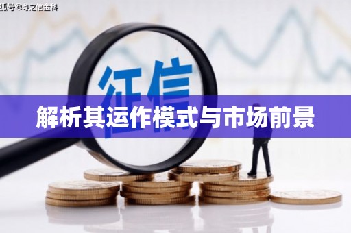 宾县解析其运作模式与市场前景
