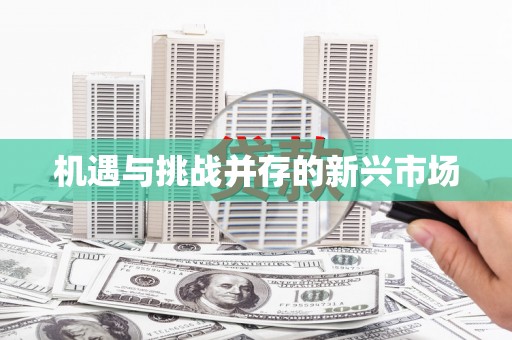 宾县机遇与挑战并存的新兴市场