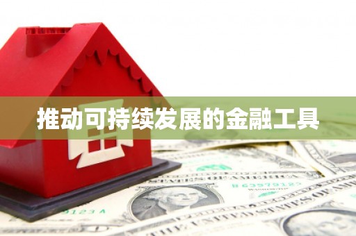宾县推动可持续发展的金融工具