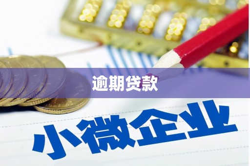 宾县逾期贷款