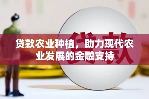 宾县贷款农业种植，助力现代农业发展的金融支持