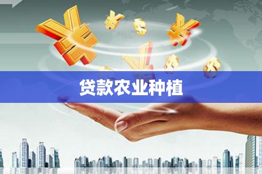 宾县贷款农业种植