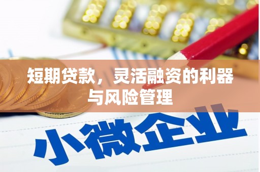 宾县短期贷款，灵活融资的利器与风险管理