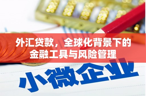 宾县外汇贷款，全球化背景下的金融工具与风险管理