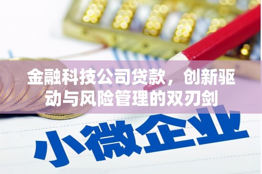 宾县金融科技公司贷款，创新驱动与风险管理的双刃剑